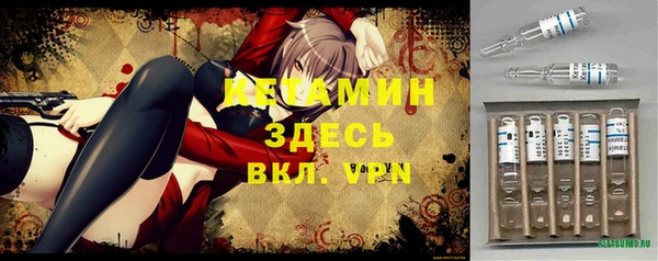 шишки Алексин