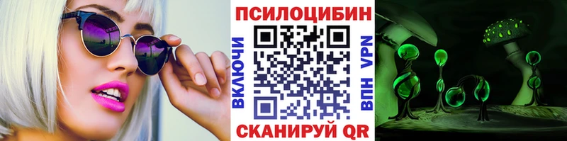 Псилоцибиновые грибы Psilocybe Павлово